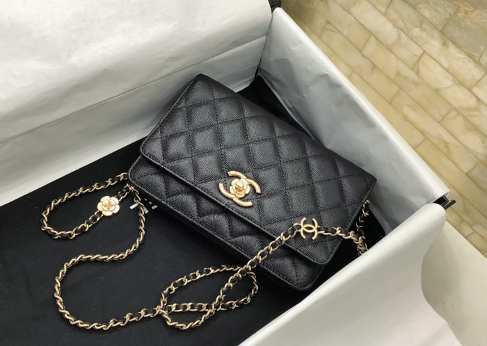 Chanel Wallet On Chain Black AP3580