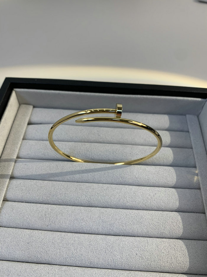 Cartier Bracelet YFCBR1202