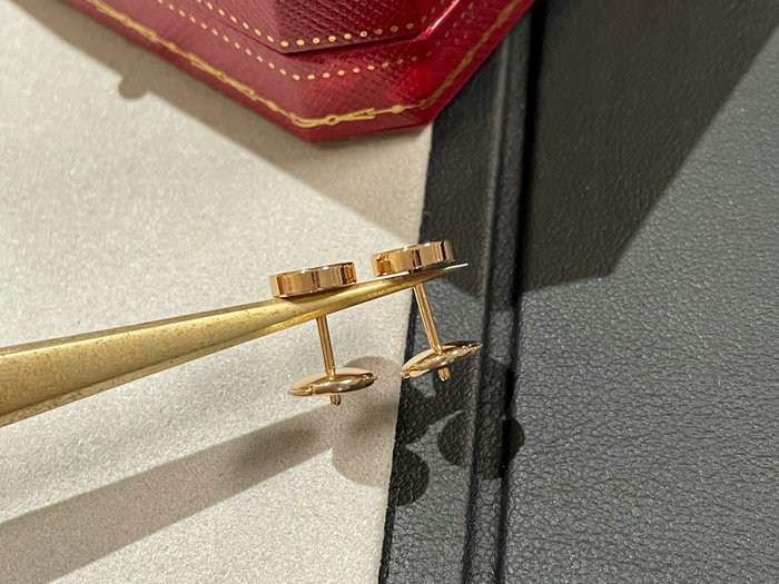 Cartier Earrings YFCRE1204
