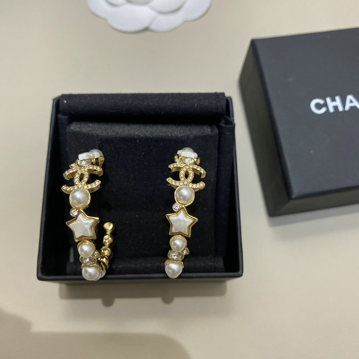 Chanel Earrings YFCE1213