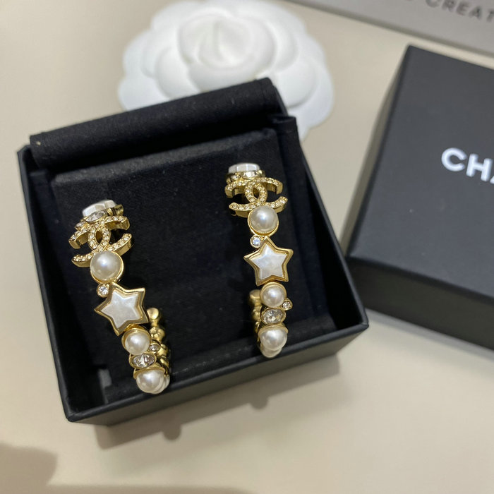 Chanel Earrings YFCE1213