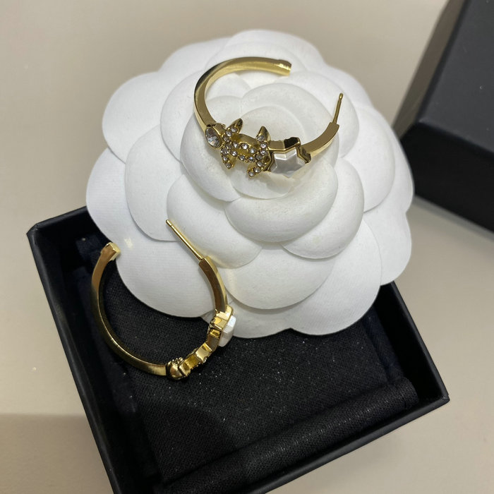Chanel Earrings YFCE1214