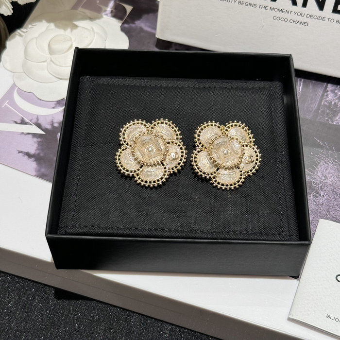 Chanel Earrings YFCE1221