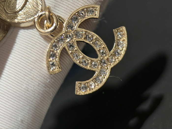 Chanel Earrings YFCE1222