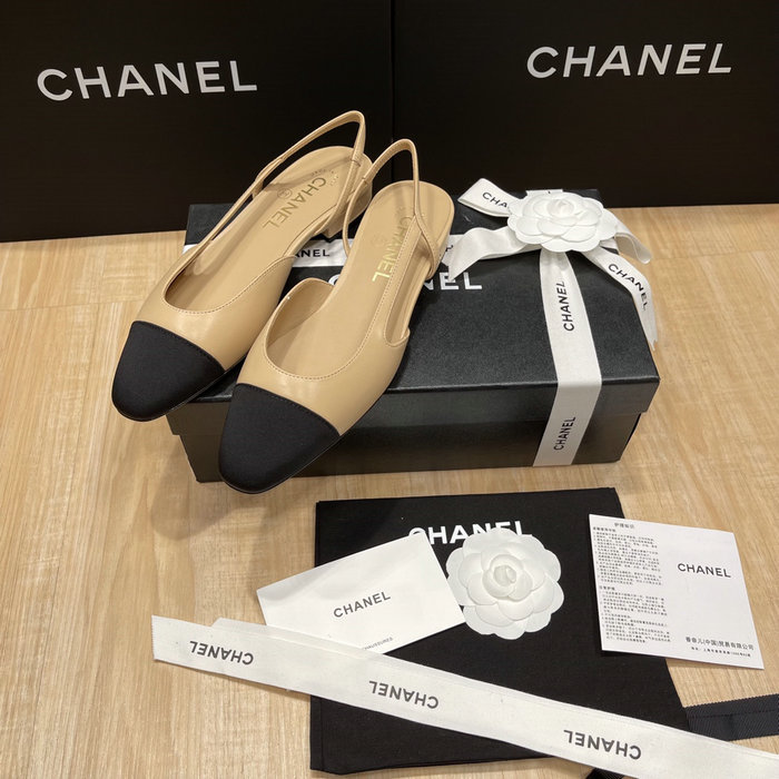 Chanel Pumps SDH121919