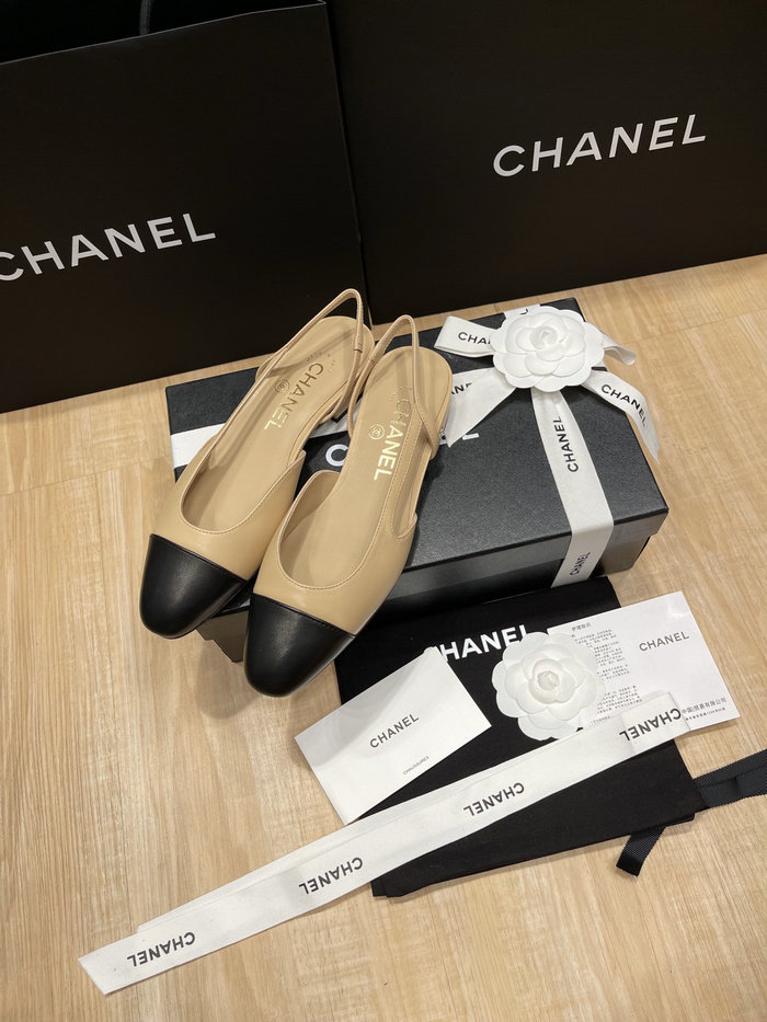 Chanel Pumps SDH121922