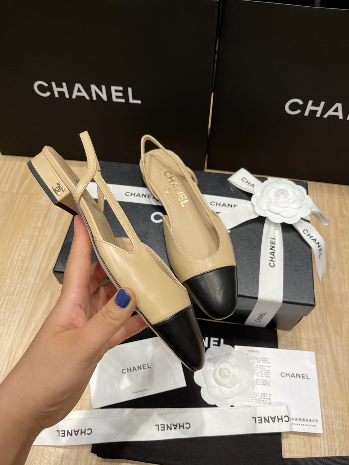 Chanel Pumps SDH121922