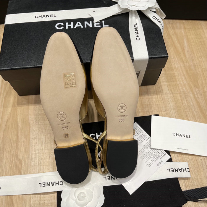 Chanel Pumps SDH121924