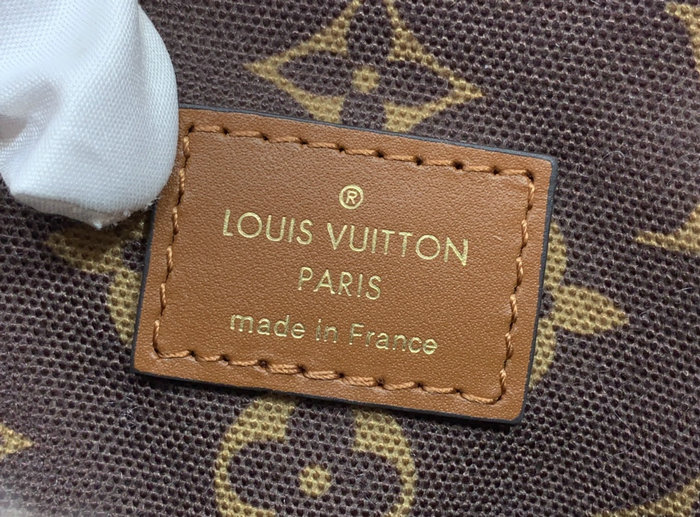 Louis Vuitton Backpack M23384