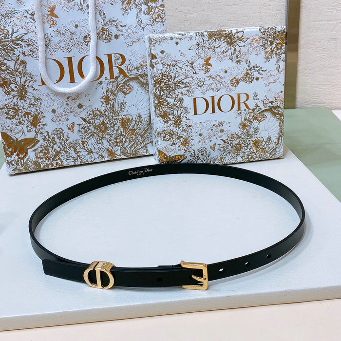 Dior Belt DB031501