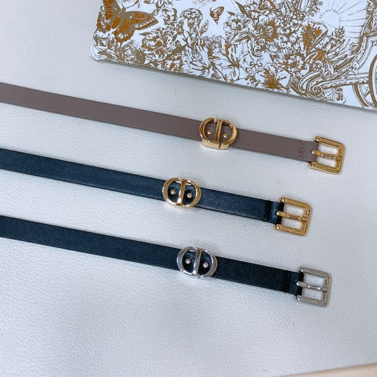 Dior Belt DB031501