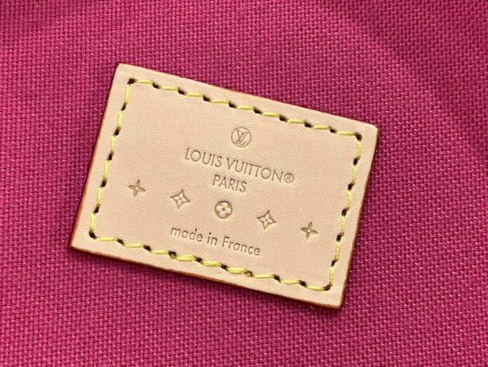 Louis Vuitton Astor Neon Pink M24102