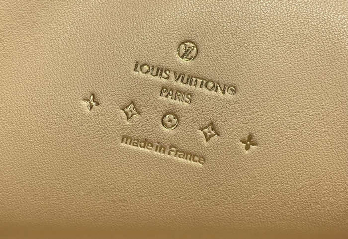 Louis Vuitton Coussin PM M24564