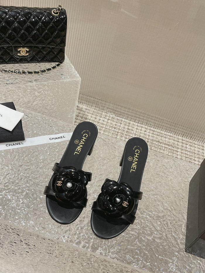 Chanel Mules AQCS031806