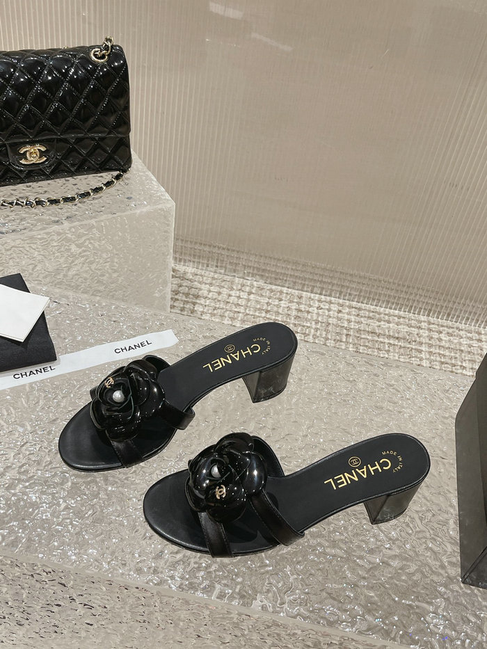 Chanel Mules AQCS031806