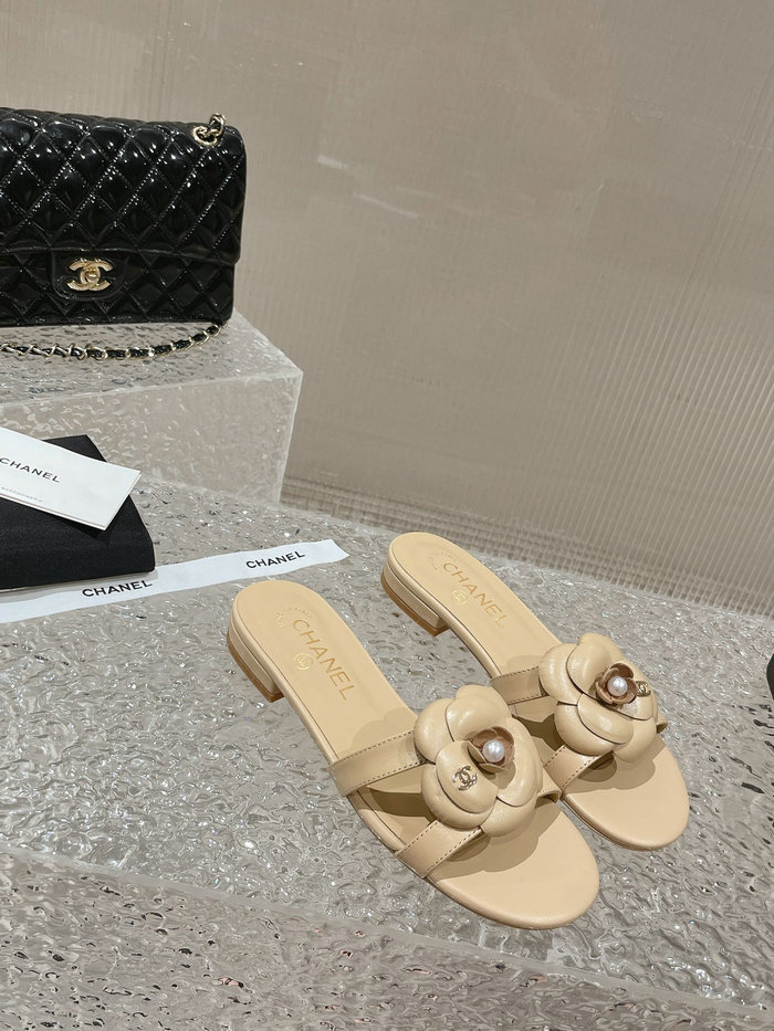 Chanel Sandals AQCS031807
