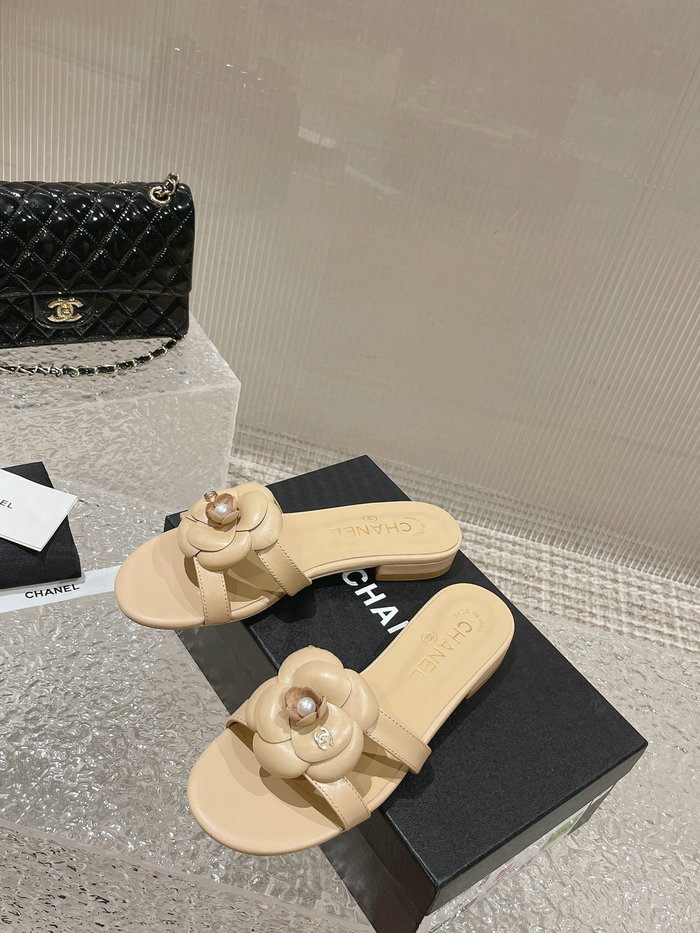 Chanel Sandals AQCS031807