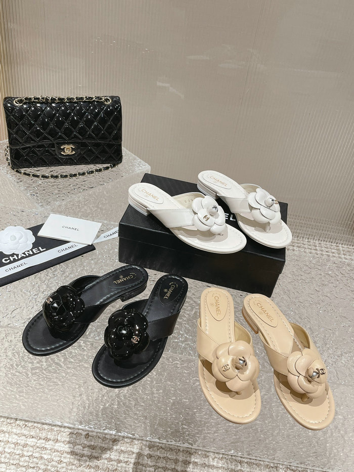 Chanel Sandals AQCS031808