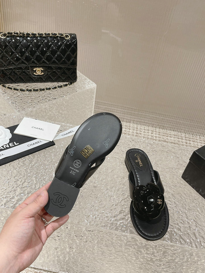 Chanel Sandals AQCS031808