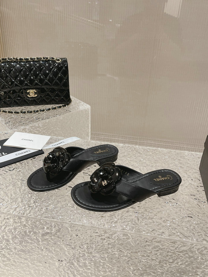 Chanel Sandals AQCS031808