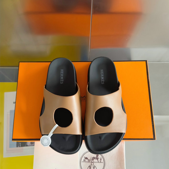 Hermes Slides MSH040102