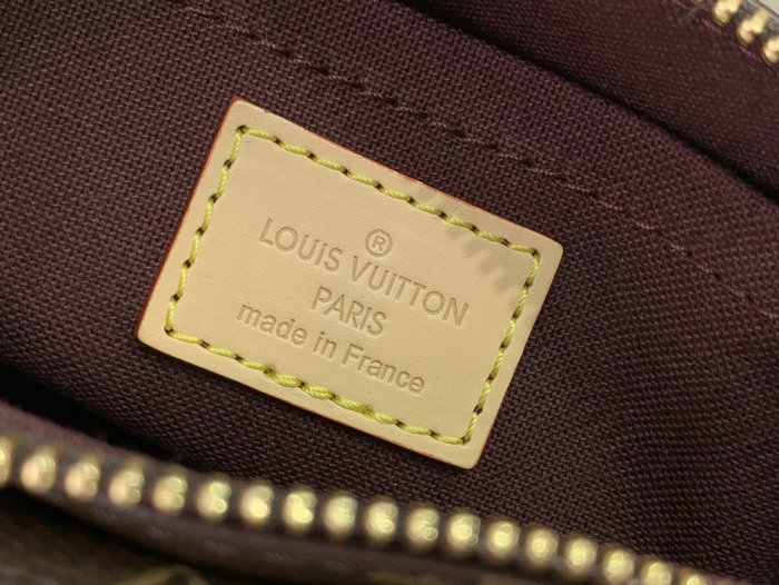 Louis Vuitton Vibe M46999