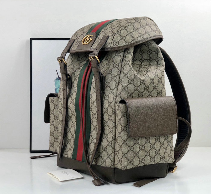 Gucci Ophidia GG Medium Backpack Brown 598140