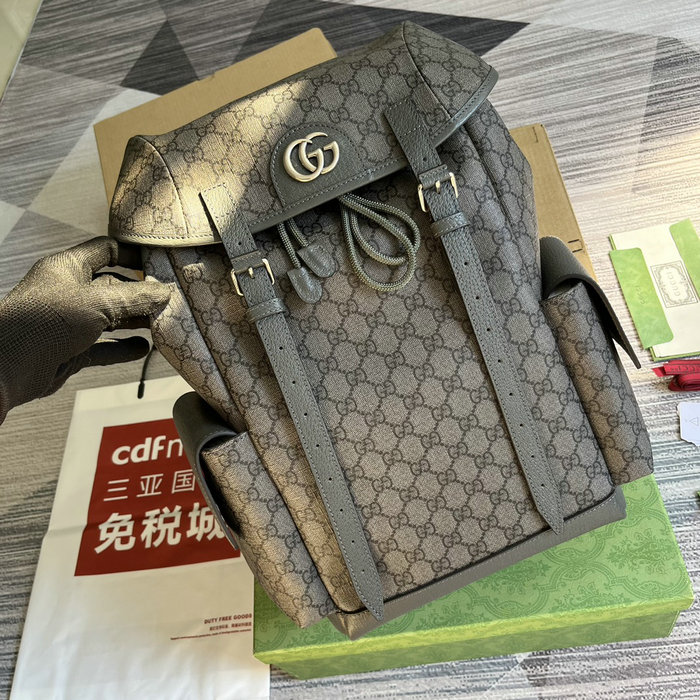 Gucci Ophidia GG Medium Backpack Grey 598140