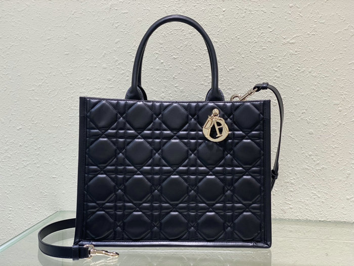 Medium Dior Book Tote M1324