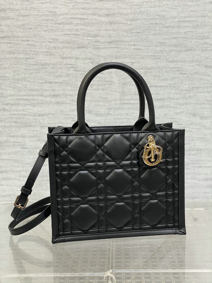 Small Dior Book Tote S1324