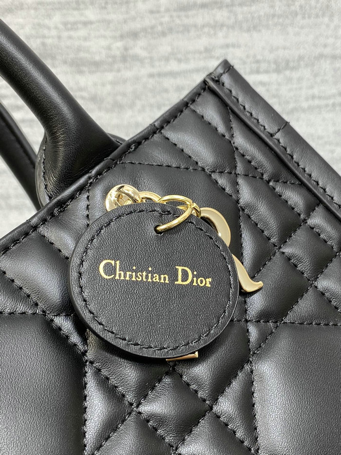 Small Dior Book Tote S1324