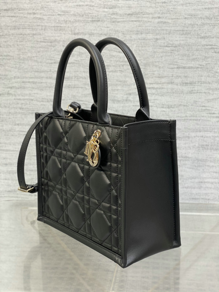 Small Dior Book Tote S1324