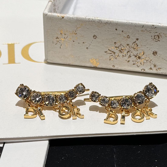Dior Earrings DE60303