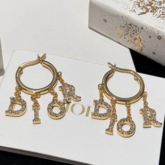 Dior Earrings DE60304