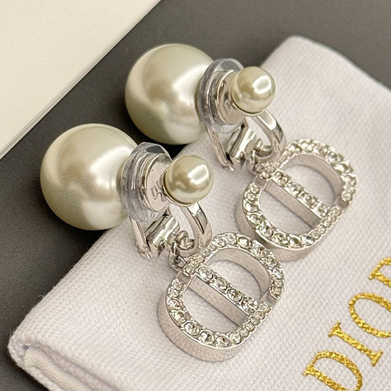 Dior Earrings DE60306