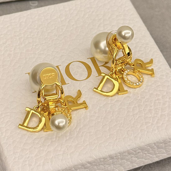 Dior Earrings DE60309