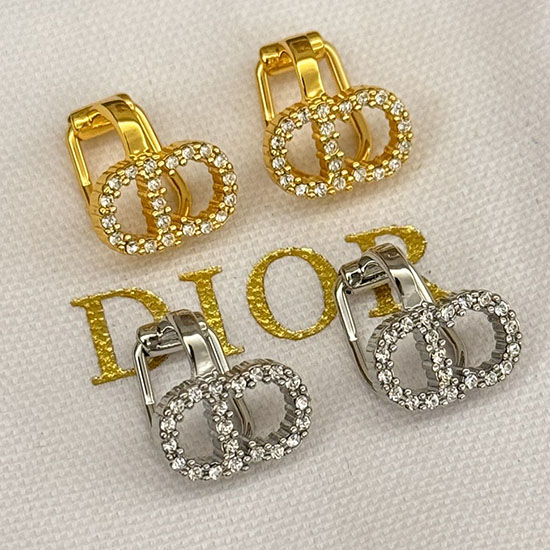 Dior Earrings DE60312