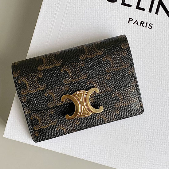 Celine Wallet CW62401