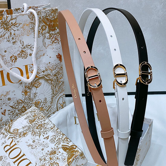 Dior Belt WBD62801