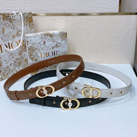 Dior Belt WBD62804