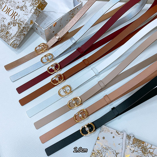 Dior Belt WBD62805