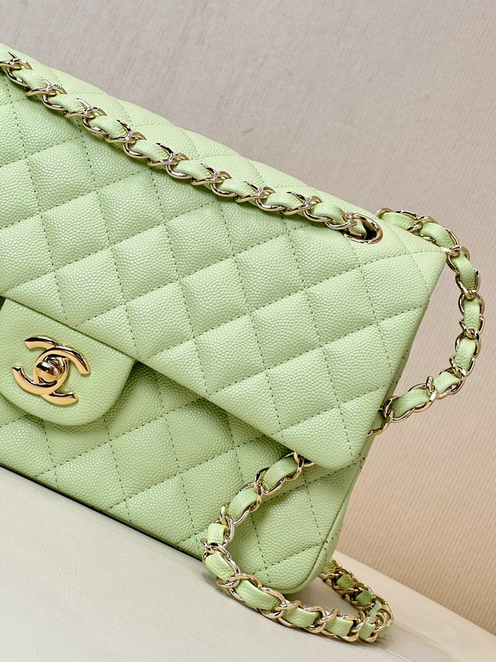 Medium Chanel Grained Calfskin Flap Bag A01112 Light Green