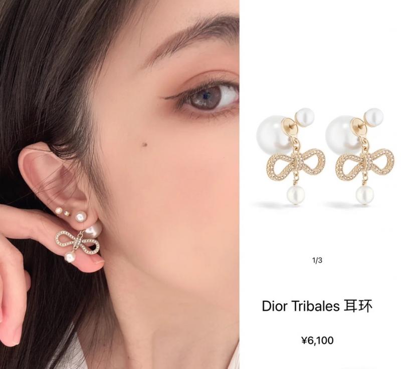 Dior Earrings DE120703