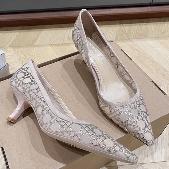 Dior Pumps SDP30301
