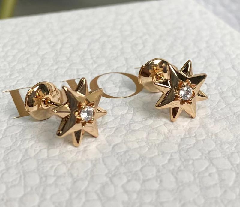 Dior Earrings JDE32201