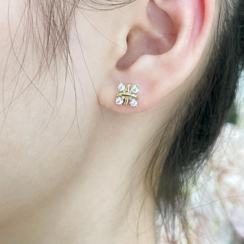 Tiffany Earrings TE32001