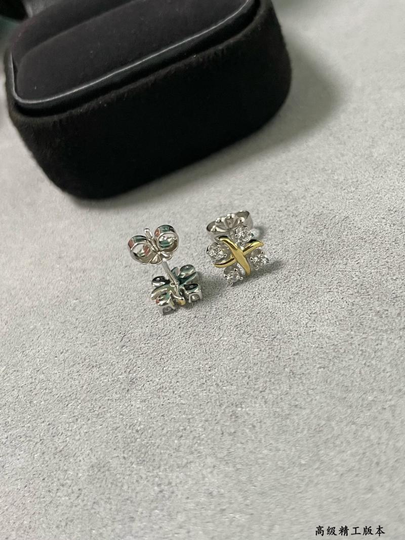 Tiffany Earrings TE32001