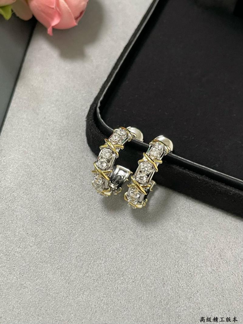 Tiffany Earrings TE32002