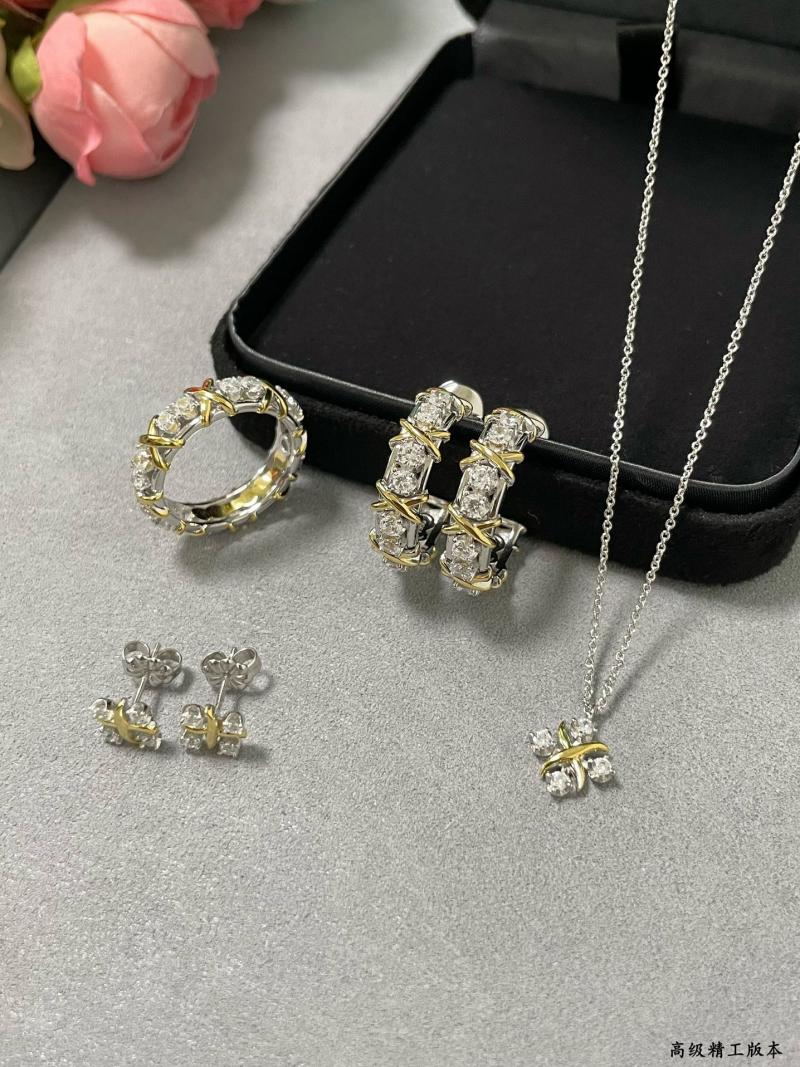 Tiffany Earrings TE32002