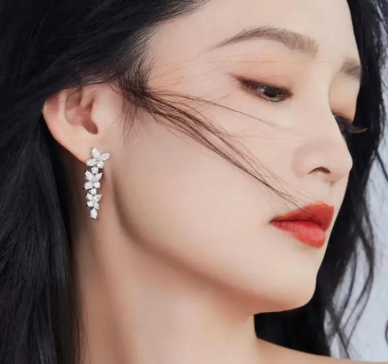 Tiffany Earrings TE32004